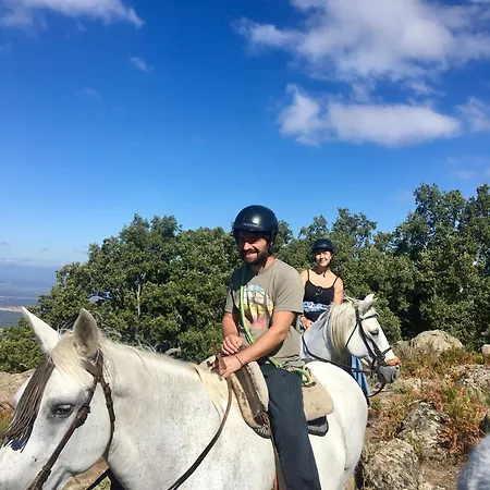 Casa Palacio Carvajal * Cabezabellosa