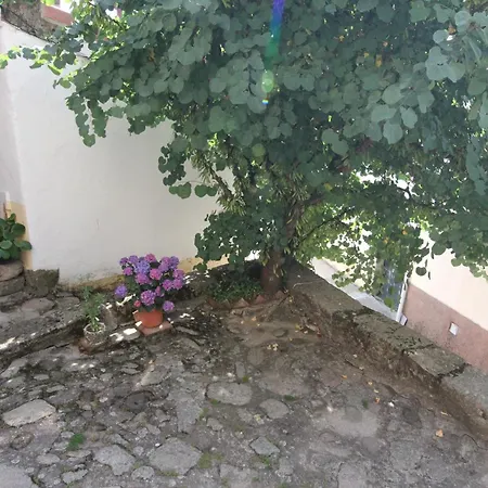 Casa Palacio Carvajal