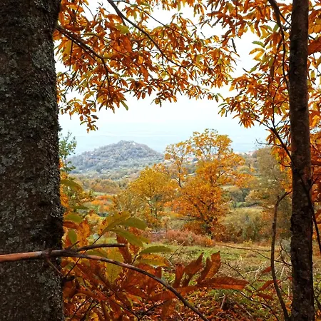 Landhuis Casa Palacio Carvajal *