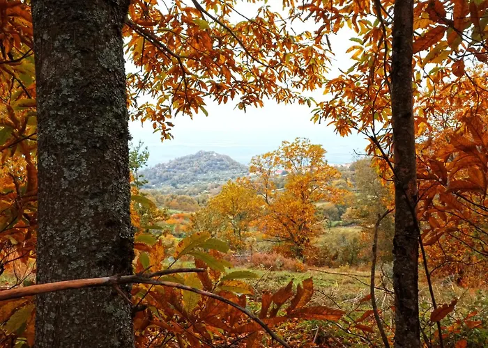 Country house Casa Palacio Carvajal *