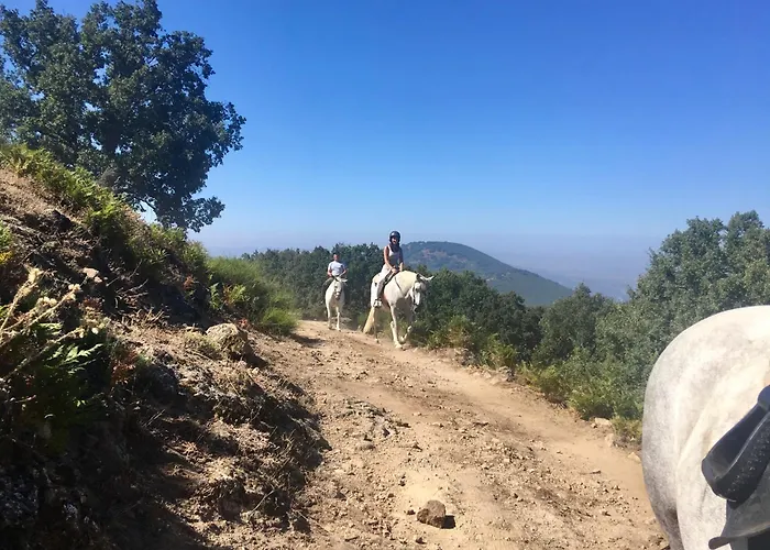 Casa Palacio Carvajal *