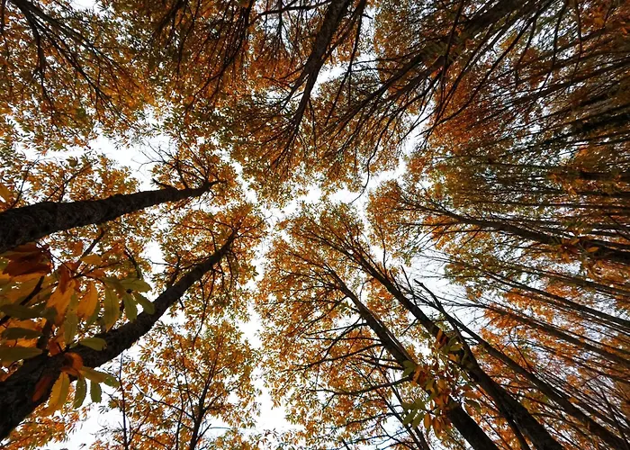 Casa Palacio Carvajal Country house Cabezabellosa