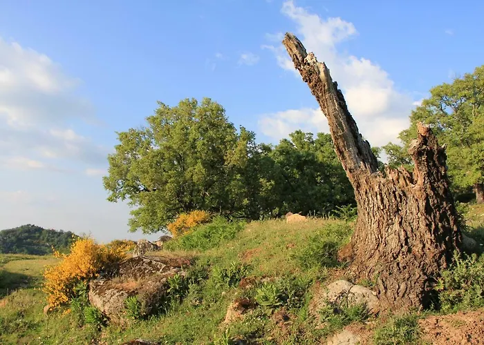 Séjour à la campagne Casa Palacio Carvajal *