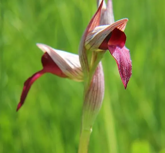 Casa Palacio Carvajal