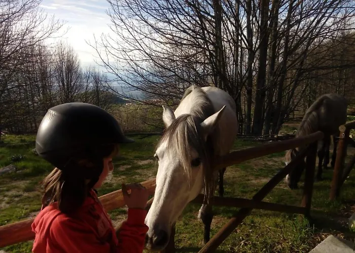 Casa Palacio Carvajal *