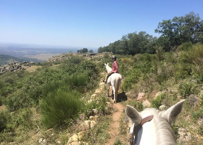 Casa Palacio Carvajal Cabezabellosa